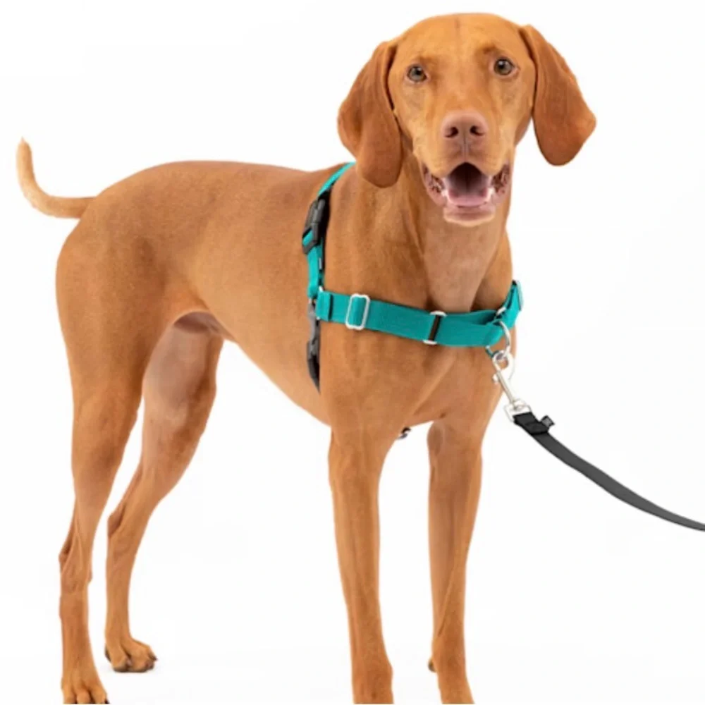 PetSafe 3-in-1 Adjustable Dog Harness Teal Small Padded No-Pull